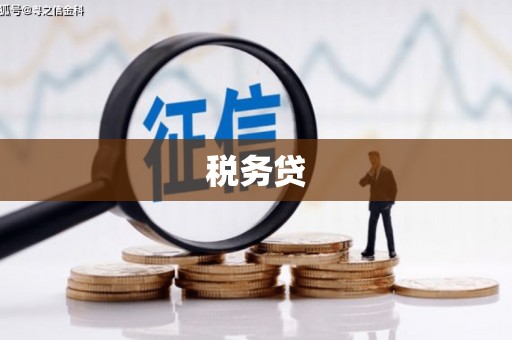 丁青税务贷