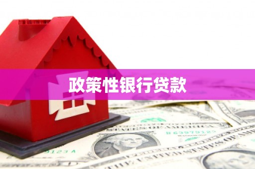 丁青政策性银行贷款