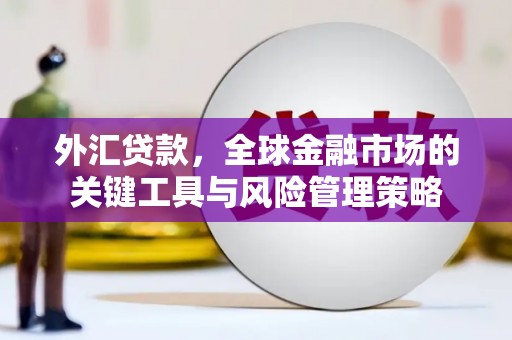 丁青外汇贷款，全球金融市场的关键工具与风险管理策略