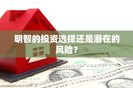 丁青明智的投资选择还是潜在的风险？