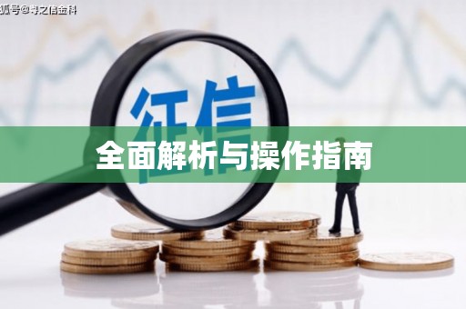 丁青全面解析与操作指南