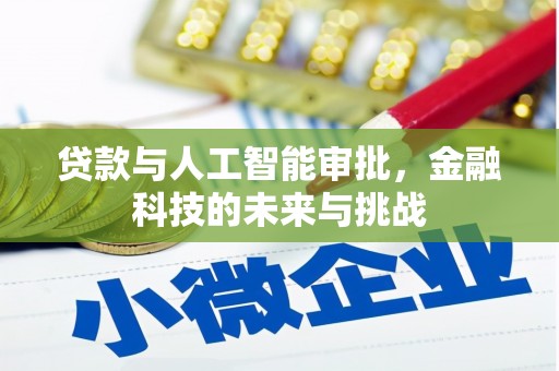 丁青贷款与人工智能审批，金融科技的未来与挑战
