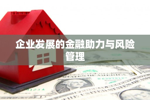 丁青企业发展的金融助力与风险管理