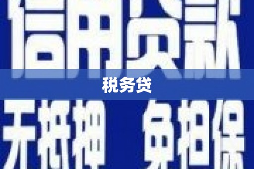 丁青税务贷