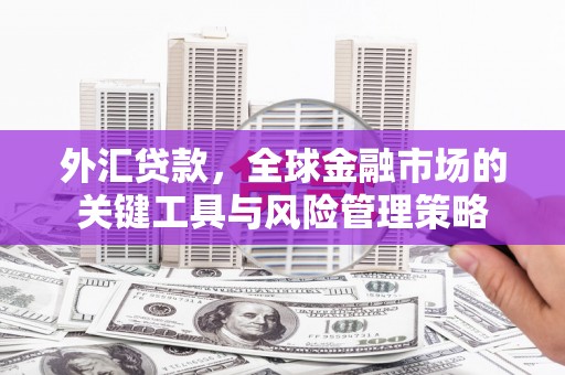 丁青外汇贷款，全球金融市场的关键工具与风险管理策略