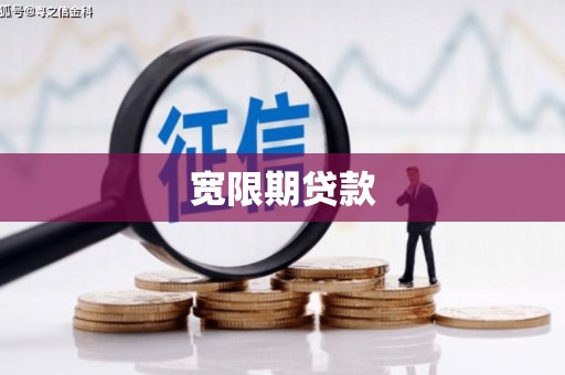 丁青宽限期贷款