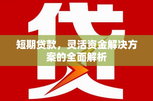 丁青短期贷款，灵活资金解决方案的全面解析