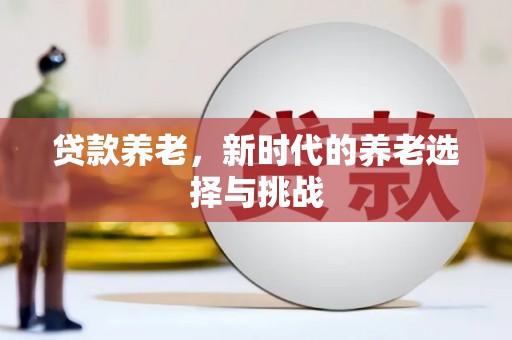 丁青贷款养老，新时代的养老选择与挑战