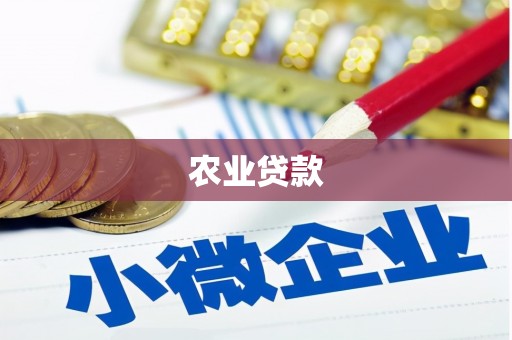 丁青农业贷款