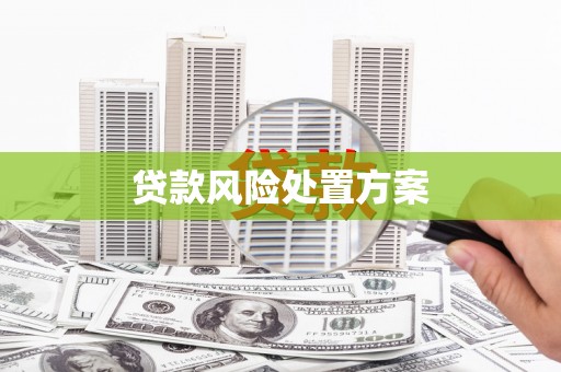 丁青贷款风险处置方案