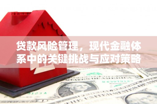 丁青贷款风险管理，现代金融体系中的关键挑战与应对策略