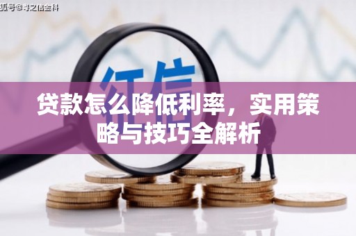 丁青贷款怎么降低利率，实用策略与技巧全解析