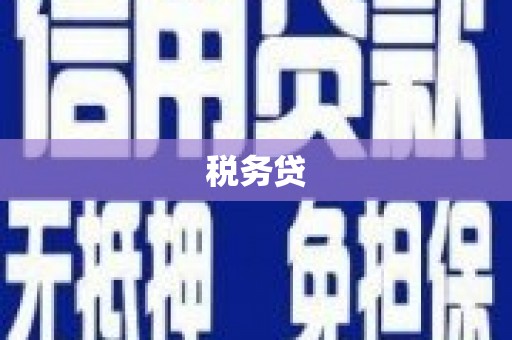 丁青税务贷