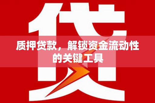 丁青质押贷款，解锁资金流动性的关键工具