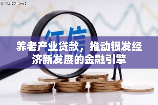 丁青养老产业贷款，推动银发经济新发展的金融引擎