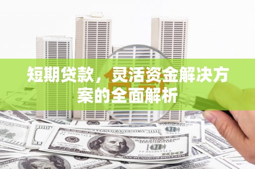 丁青短期贷款，灵活资金解决方案的全面解析