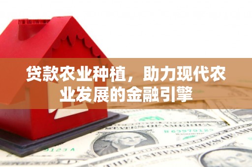 丁青贷款农业种植，助力现代农业发展的金融引擎