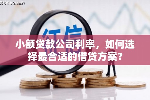 丁青小额贷款公司利率，如何选择最合适的借贷方案？