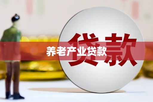 丁青养老产业贷款