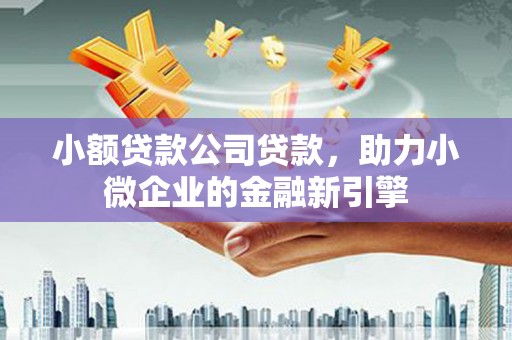丁青小额贷款公司贷款，助力小微企业的金融新引擎