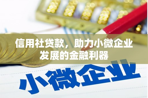 丁青信用社贷款，助力小微企业发展的金融利器
