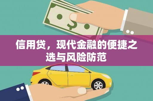 丁青信用贷，现代金融的便捷之选与风险防范