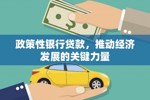 丁青政策性银行贷款，推动经济发展的关键力量