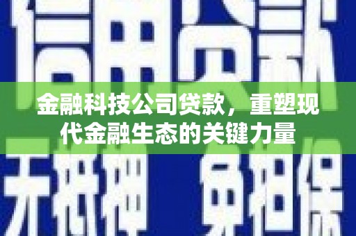 丁青金融科技公司贷款，重塑现代金融生态的关键力量