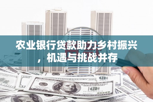 丁青农业银行贷款助力乡村振兴，机遇与挑战并存