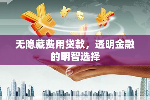 丁青无隐藏费用贷款，透明金融的明智选择