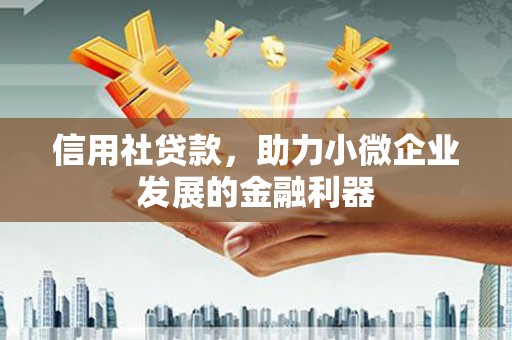 丁青信用社贷款，助力小微企业发展的金融利器
