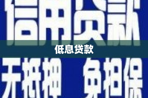 丁青低息贷款