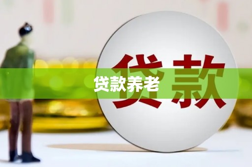 丁青贷款养老