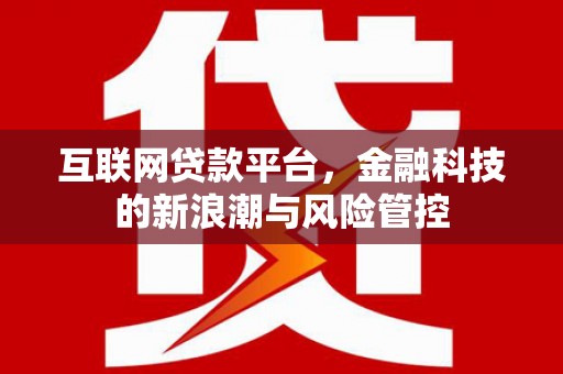丁青互联网贷款平台，金融科技的新浪潮与风险管控