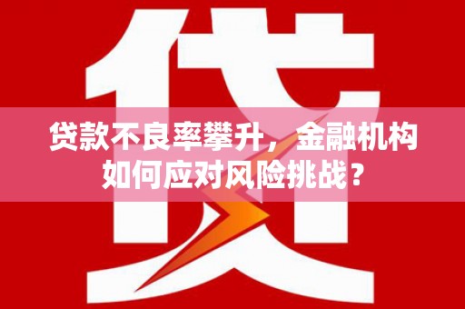 丁青贷款不良率攀升，金融机构如何应对风险挑战？