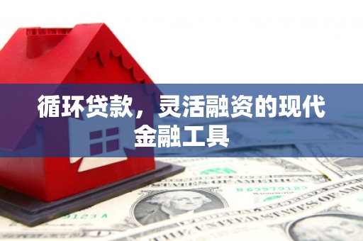 丁青循环贷款，灵活融资的现代金融工具