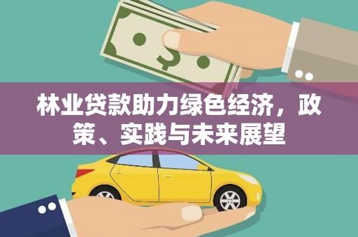 丁青林业贷款助力绿色经济，政策、实践与未来展望