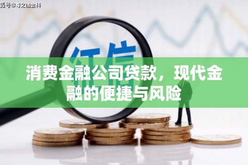 丁青消费金融公司贷款，现代金融的便捷与风险