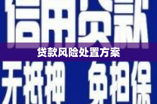 丁青贷款风险处置方案