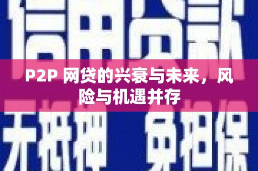 丁青P2P 网贷的兴衰与未来，风险与机遇并存