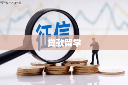 丁青贷款留学