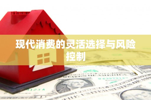 丁青现代消费的灵活选择与风险控制