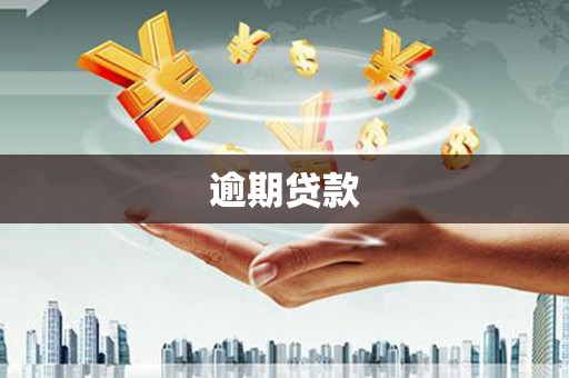 丁青逾期贷款